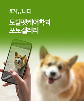 포토갤러리