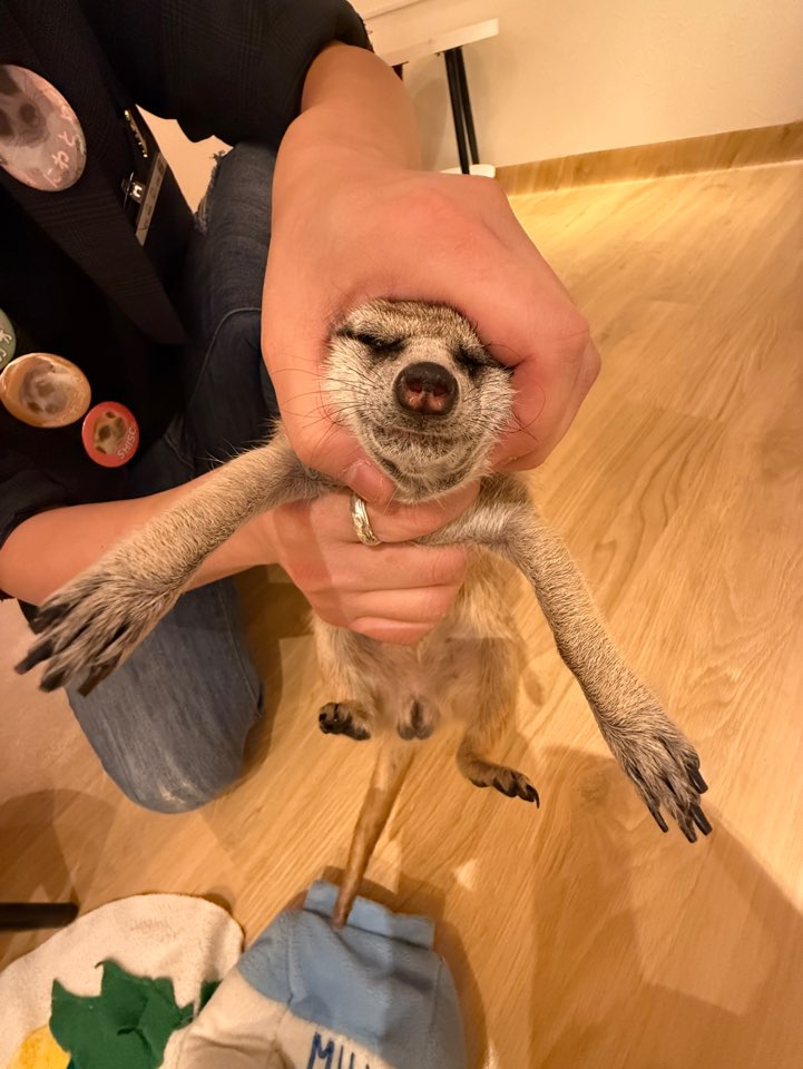 [1일차]일본 야마자키 연수