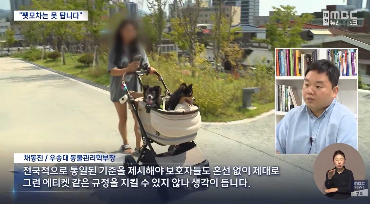 🎥 채동진 교수님, MBC <뉴스데스크> 출연! 🎥